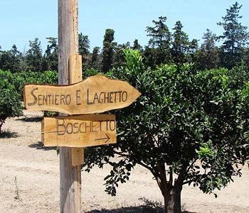 Sicily & Alloggio per agriturismo