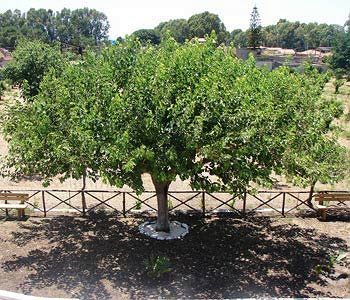 Sicily & Alloggio per agriturismo